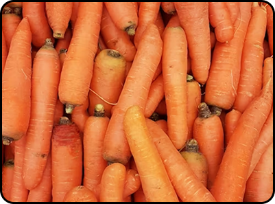 Carrots