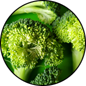 Broccoli