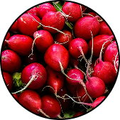 Radishes